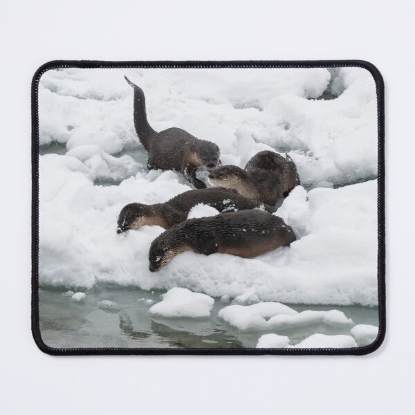 Item preview, Otter Ice Bath designed and sold by DawsonImages.