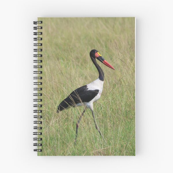 Item preview, Saddle-billed stork walking designed and sold by Proud & Pretty Wildlife Photography.