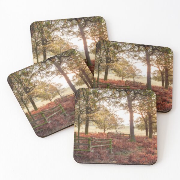Item preview, Sunrise Serenity at Bradgate Park – A Woodland Awakening designed and sold by Nick Tsiatinis Photography.