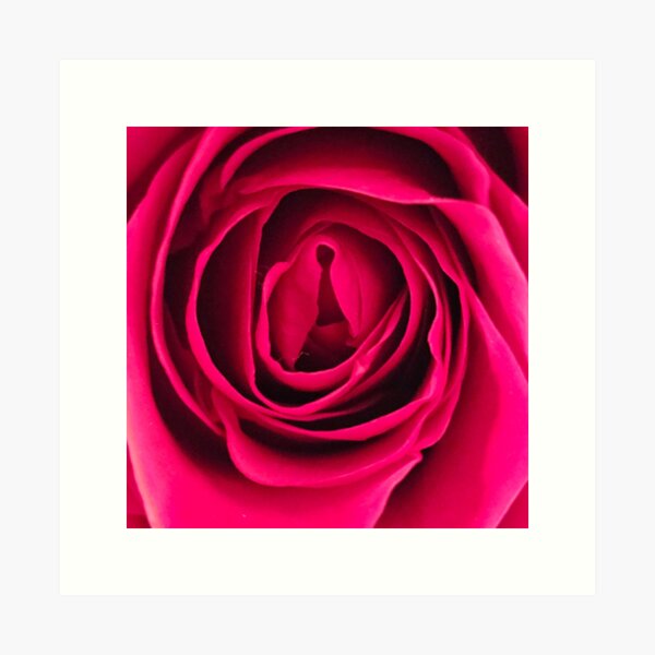 Item preview, Red Rose Close Up designed and sold by beckscre8tive.