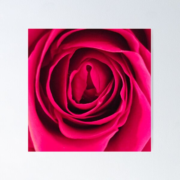 Item preview, Red Rose Close Up designed and sold by beckscre8tive.