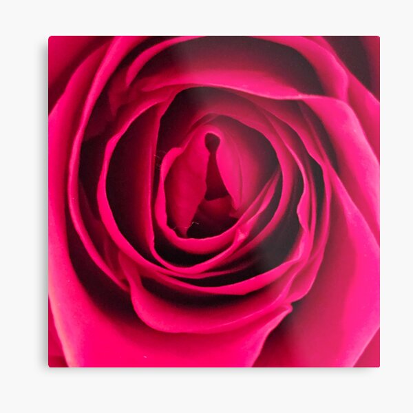 Item preview, Red Rose Close Up designed and sold by beckscre8tive.