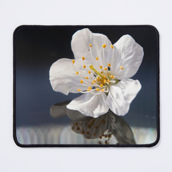 Item preview, A delicate cherry blossom designed and sold by OrsalArt.