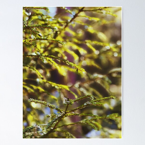 Item preview, Swedish forest close-up designed and sold by JosefinL.