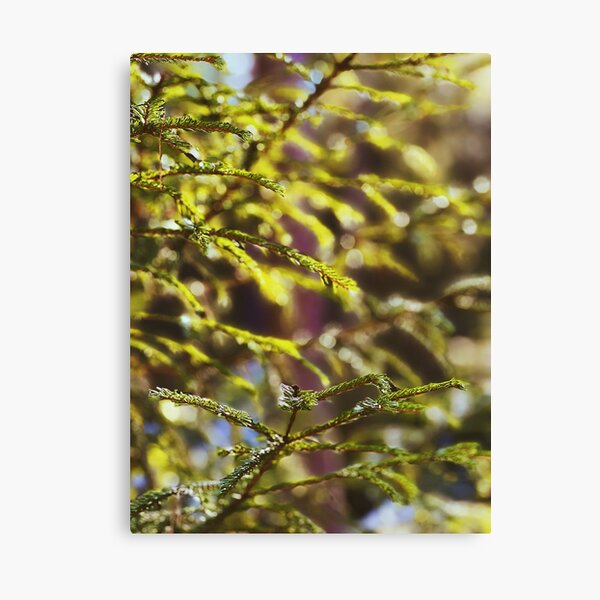 Item preview, Swedish forest close-up designed and sold by JosefinL.