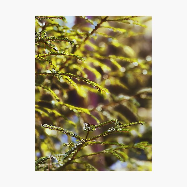 Item preview, Swedish forest close-up designed and sold by JosefinL.