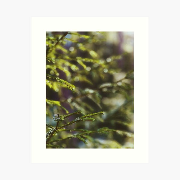 Item preview, Swedish nature close-up designed and sold by JosefinL.