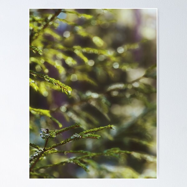 Item preview, Swedish nature close-up designed and sold by JosefinL.