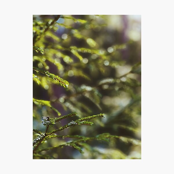 Item preview, Swedish nature close-up designed and sold by JosefinL.