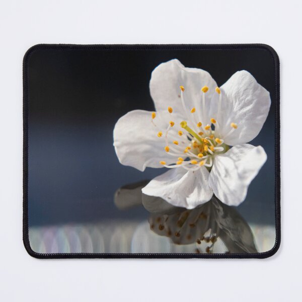 Item preview, A delicate cherry blossom designed and sold by OrsalArt.