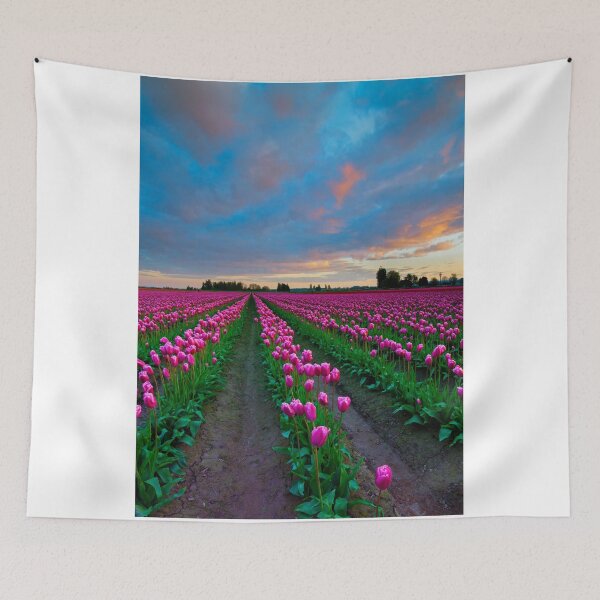 Item preview, Sunset Pink designed and sold by DawsonImages.