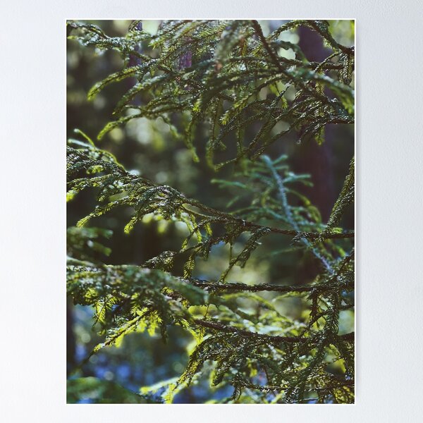 Item preview, Swedish forest close-up designed and sold by JosefinL.