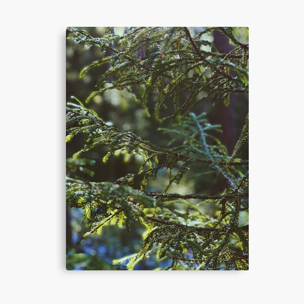 Item preview, Swedish forest close-up designed and sold by JosefinL.