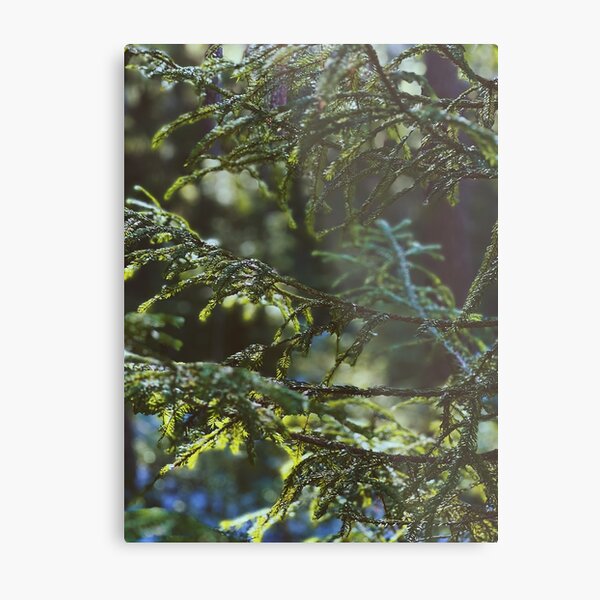 Item preview, Swedish forest close-up designed and sold by JosefinL.