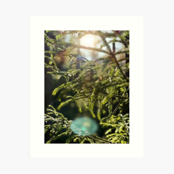 Item preview, Swedish forest close-up designed and sold by JosefinL.