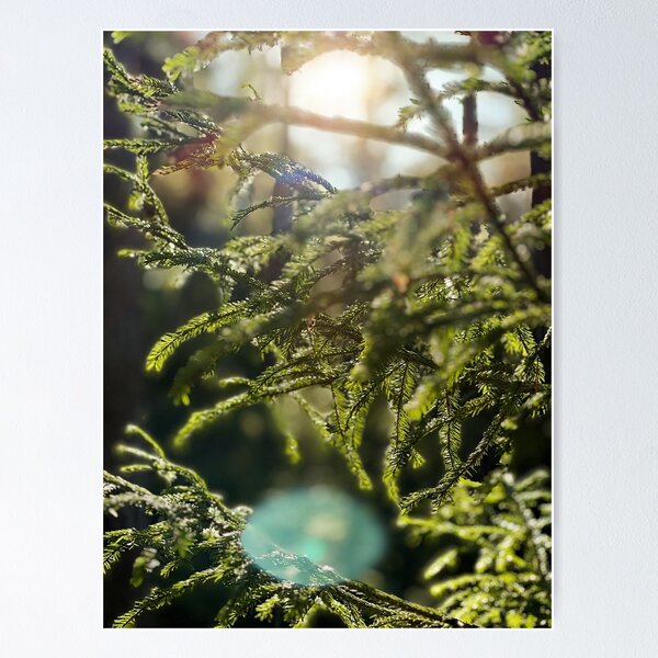 Item preview, Swedish forest close-up designed and sold by JosefinL.