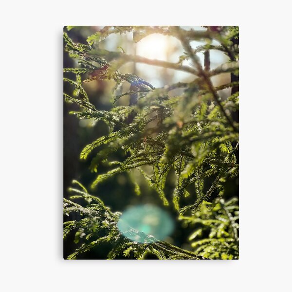 Item preview, Swedish forest close-up designed and sold by JosefinL.