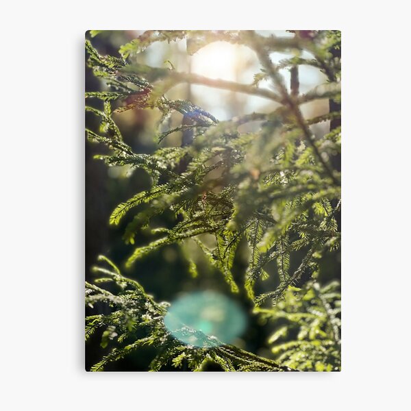 Item preview, Swedish forest close-up designed and sold by JosefinL.