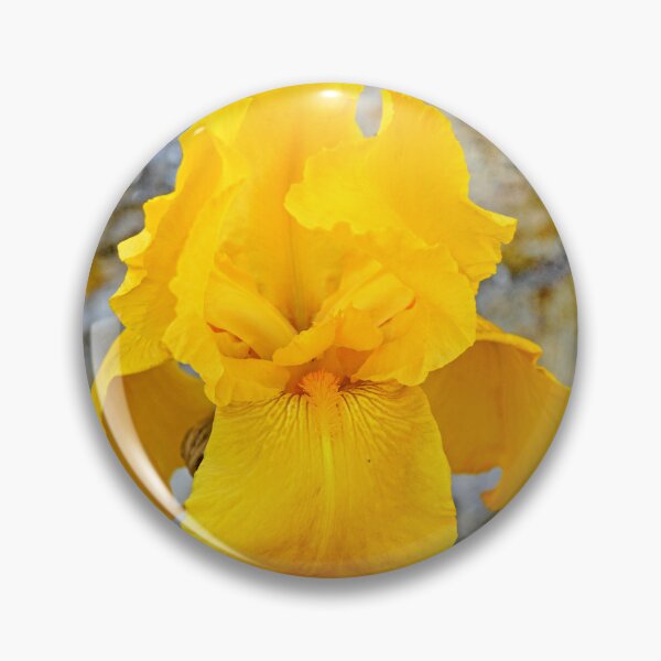 Item preview, Yellow orchid designed and sold by manoloshoping.