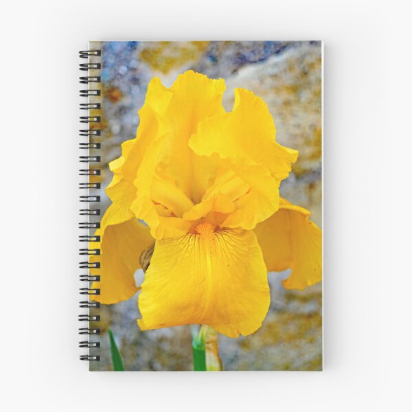 Item preview, Yellow orchid designed and sold by manoloshoping.