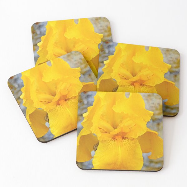 Item preview, Yellow orchid designed and sold by manoloshoping.