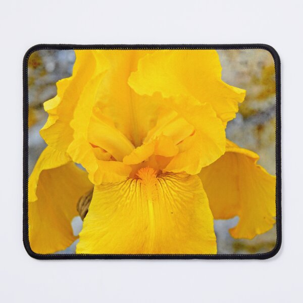 Item preview, Yellow orchid designed and sold by manoloshoping.
