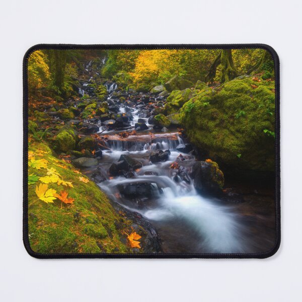 Item preview, Surrounded by Autumn designed and sold by DawsonImages.