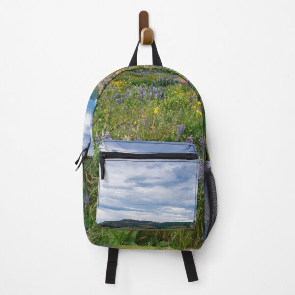 Item preview, Spring Storm Clearing designed and sold by DawsonImages.