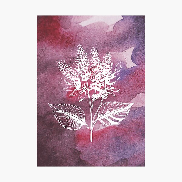 Item preview,  Lavender Flower 2/6 - Botanical [ 2021 - Collection ] designed and sold by elmsstudios.
