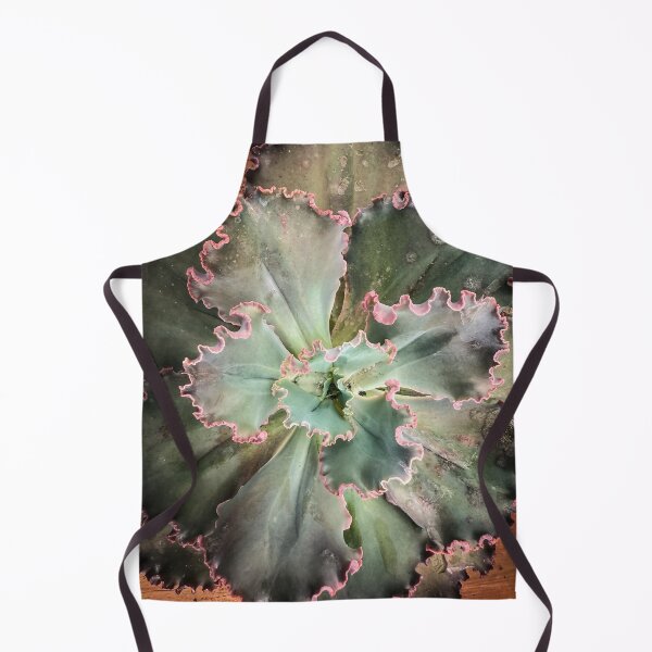 Item preview, Echeveria shaviana, LA Succulents, Lake View Terrace, California designed and sold by Douglas E. Welch Design and Photography.