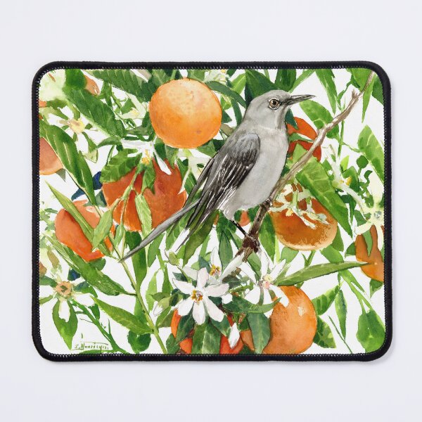 Item preview, FLorida State BIrd and Flower. Mockingbird and Orange Flowers designed and sold by surenart.