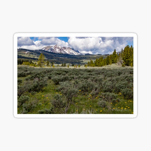 Electric Peak Sticker
