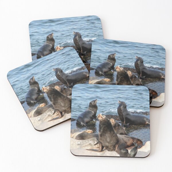 Item preview, Sea Lions Enjoying the Sun  designed and sold by heatherfriedman.