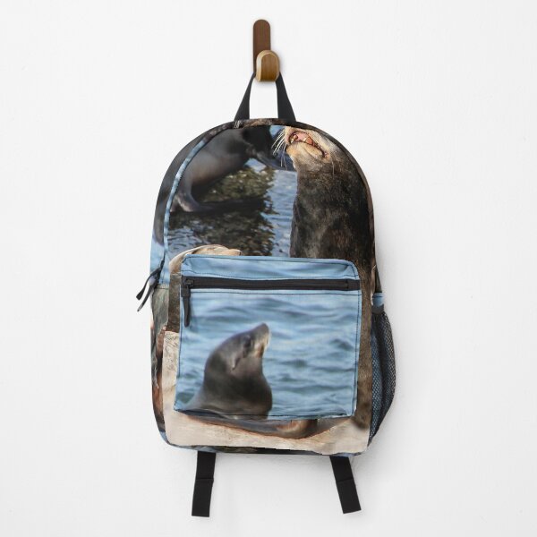 Item preview, Sea Lions Enjoying the Sun  designed and sold by heatherfriedman.