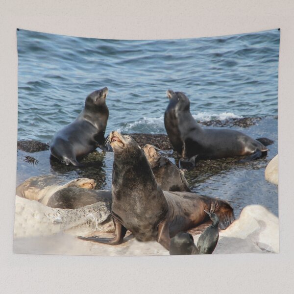 Item preview, Sea Lions Enjoying the Sun  designed and sold by heatherfriedman.
