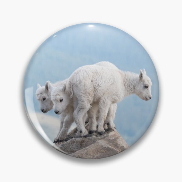 Item preview, A twelve foot rock designed and sold by Eivor Kuchta.