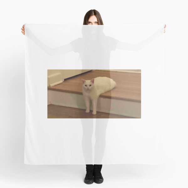 Cursed Cat Meme Scarves Redbubble - nyan cat scarf roblox