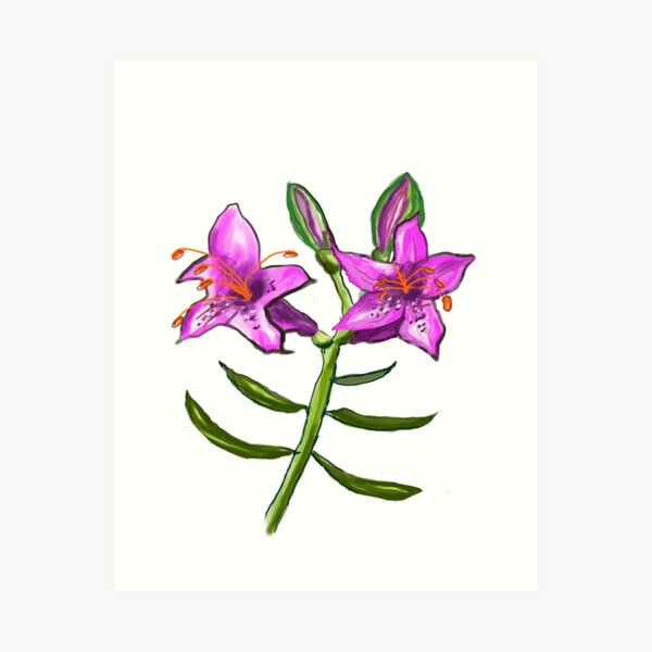 Item preview, Stargazer Lily designed and sold by Joyride Art and Design UK.