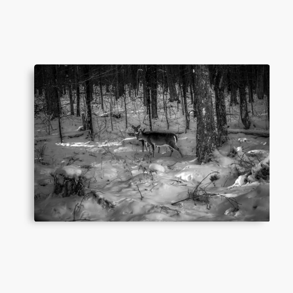 Item preview, Silent Grace designed and sold by RediscoverdLens.