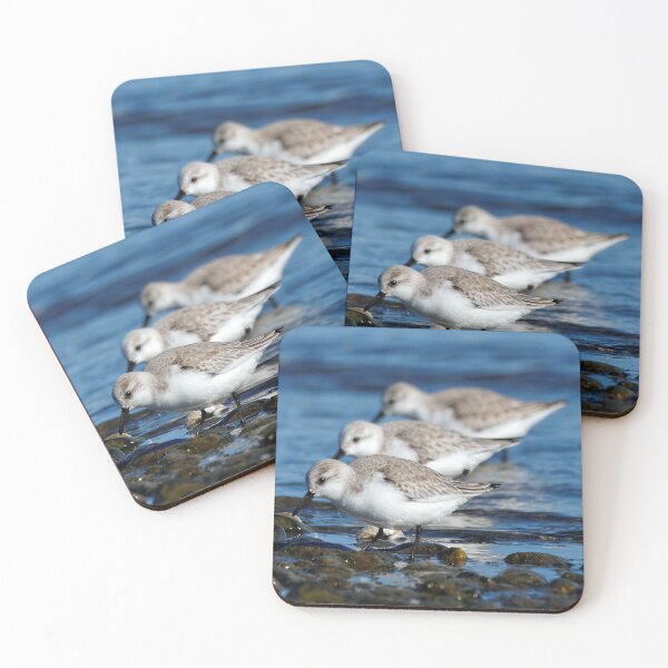 Item preview, Sanderlings Feasting in Staggered Synchronicity on Winter Shoreline designed and sold by walkswithnature.