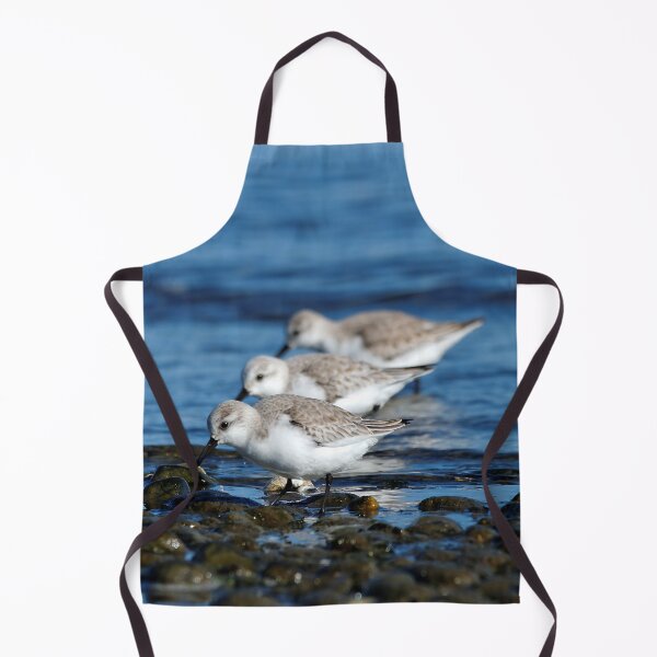 Item preview, Sanderlings Feasting in Staggered Synchronicity on Winter Shoreline designed and sold by walkswithnature.