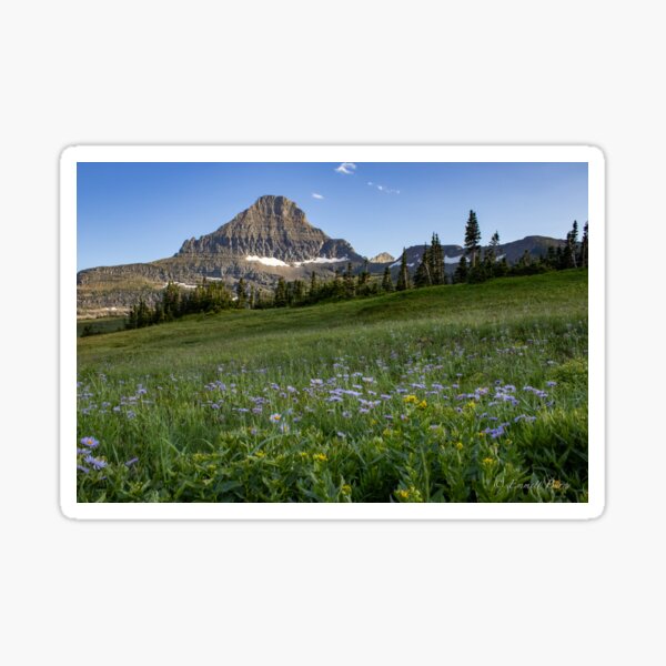 A Day in Glacier Sticker