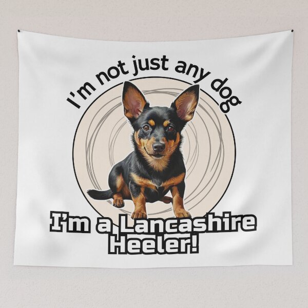 Aperçu de l'œuvre T-shirt pour chien Lancashire Heeler pour les amateurs de Heeler créée et vendue par SaavedraDesign.