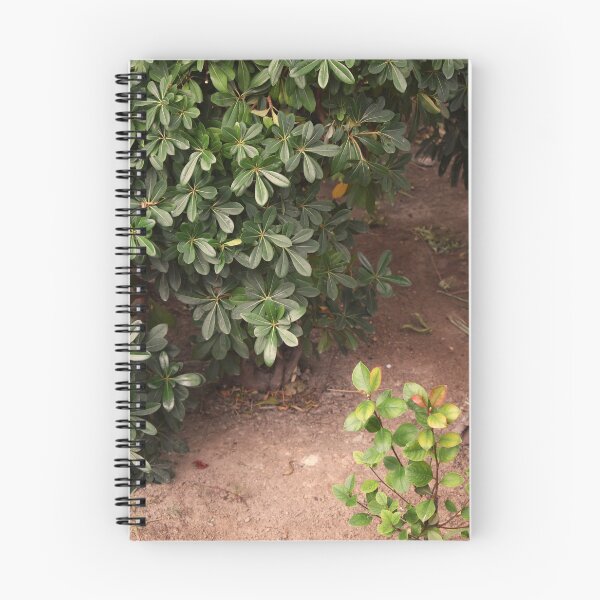 Artikelvorschau, Feldweg entworfen und verkauft von MangoSeeds.