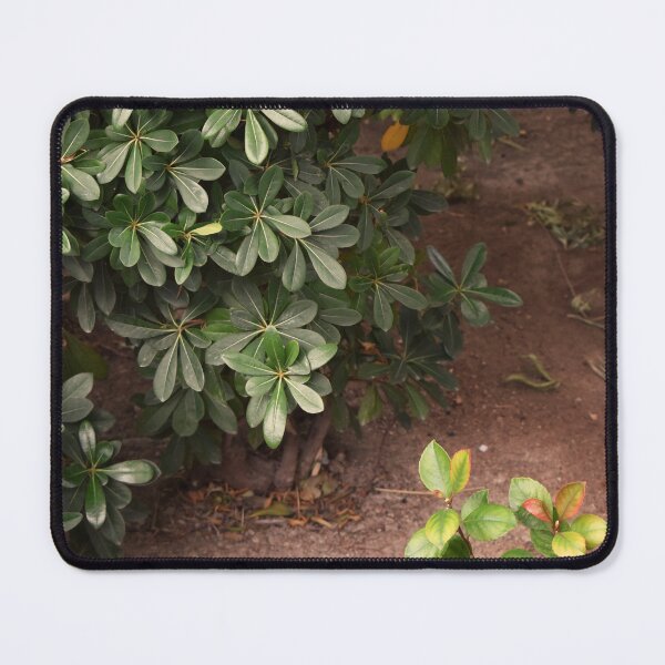 Artikelvorschau, Feldweg entworfen und verkauft von MangoSeeds.
