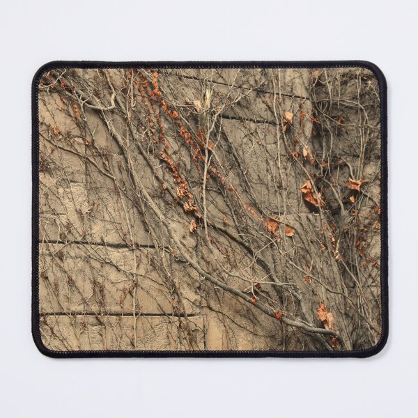 Item preview, Cool Architecture at Mandalay Bay designed and sold by MangoSeeds.