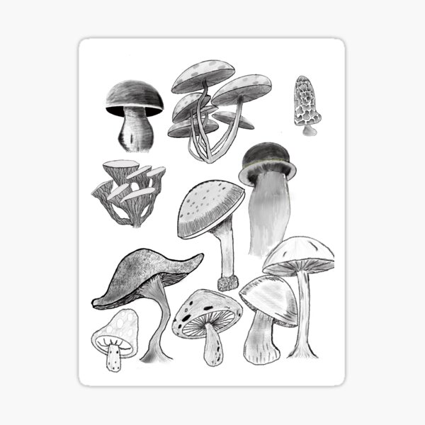 Item preview, Mushrooms designed and sold by TheEmptyCartographer.