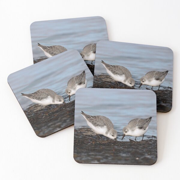 Item preview, A Pair of Sanderlings Shares: A Meal is Better When Eaten Together designed and sold by walkswithnature.