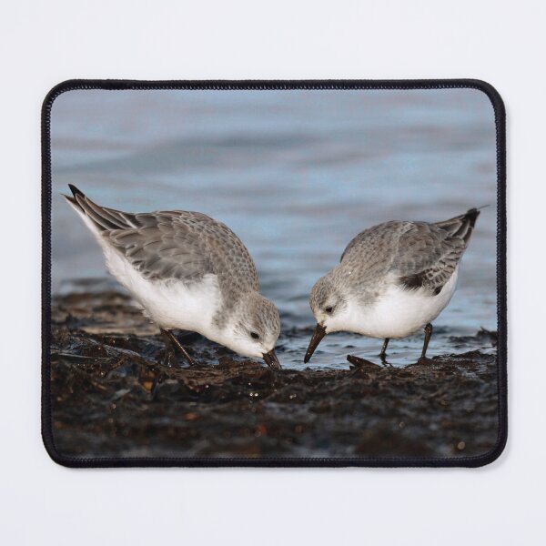 Item preview, A Pair of Sanderlings Shares: A Meal is Better When Eaten Together designed and sold by walkswithnature.