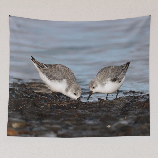 Item preview, A Pair of Sanderlings Shares: A Meal is Better When Eaten Together designed and sold by walkswithnature.